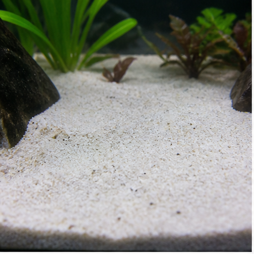 Fondo dell’acquario clair dans un aquarium