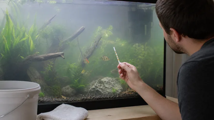 Acqua torbida
